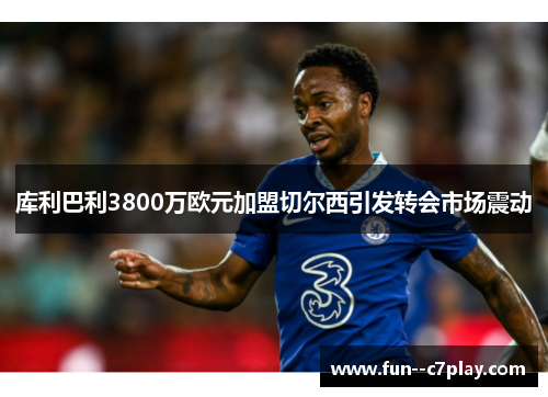 库利巴利3800万欧元加盟切尔西引发转会市场震动