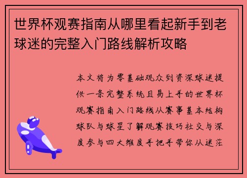 世界杯观赛指南从哪里看起新手到老球迷的完整入门路线解析攻略